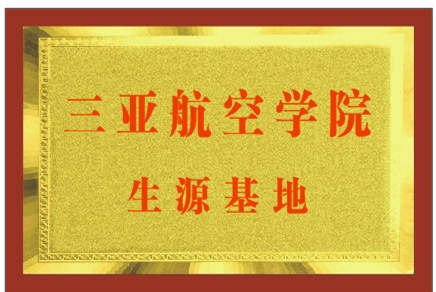荣誉资质